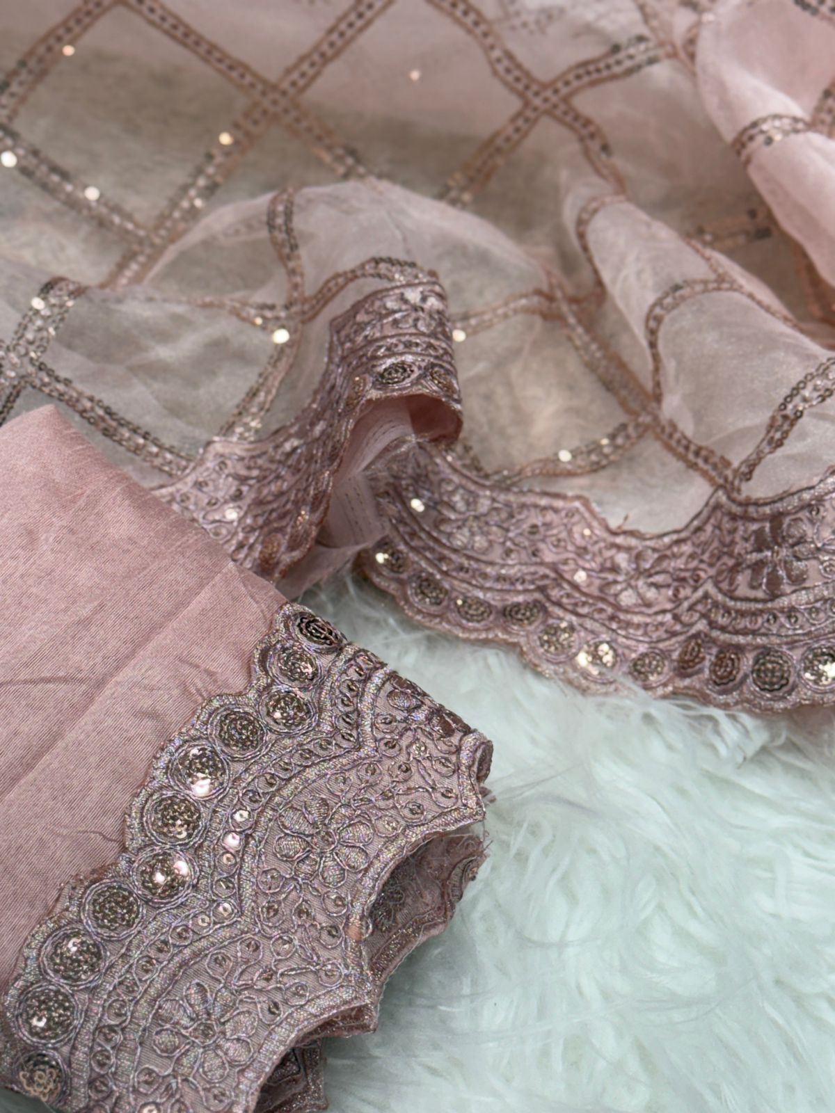 Premium Organza Embroidered Saree with Designer Cutwork Border