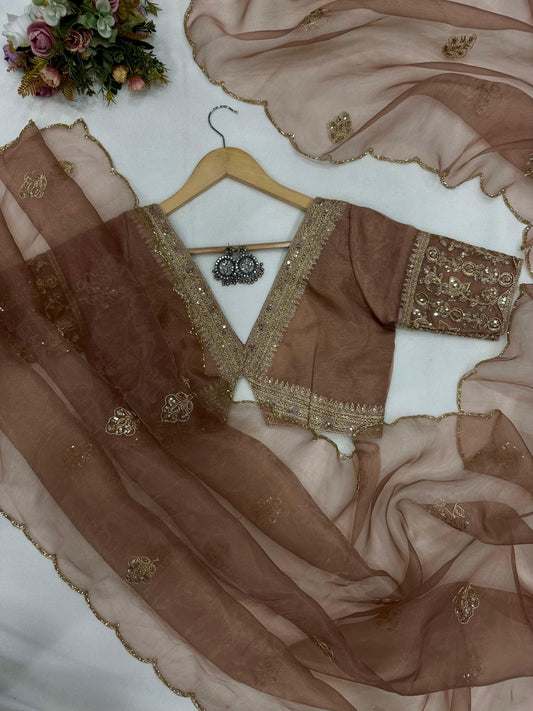 Graceful Pure Organza Embroidered Saree with Valmoti Handwork
