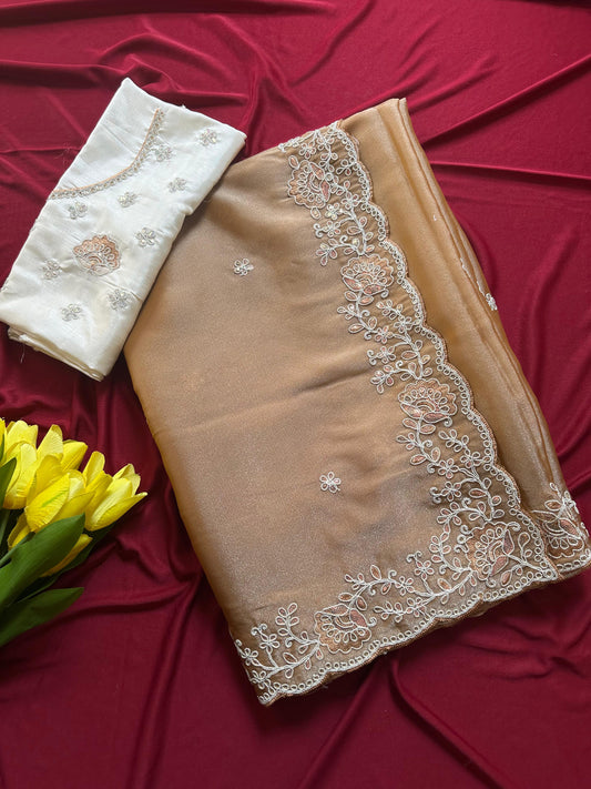 Elegant Shimmer Tissue Saree with Embroidery Sequins Border