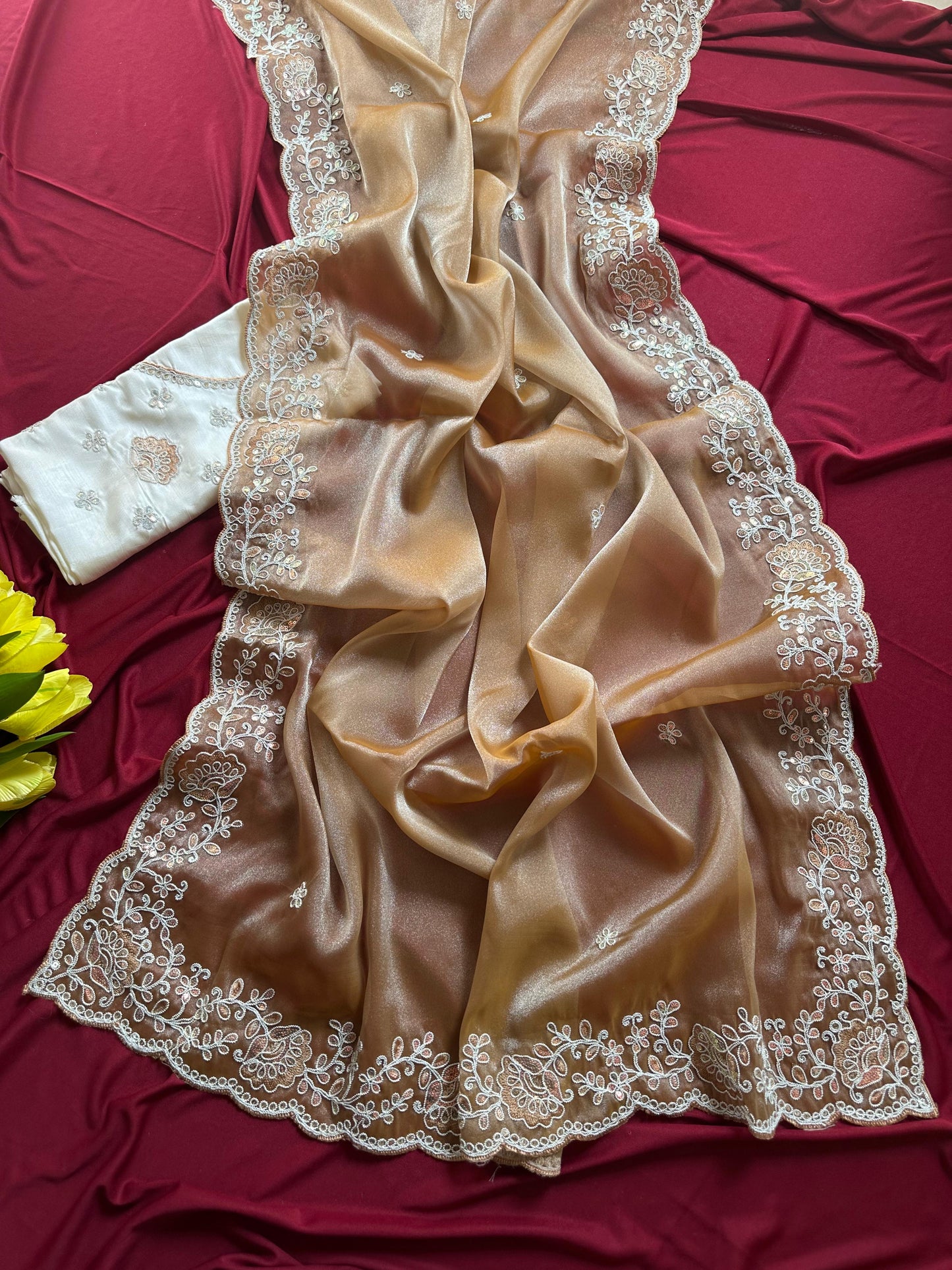 Elegant Shimmer Tissue Saree with Embroidery Sequins Border