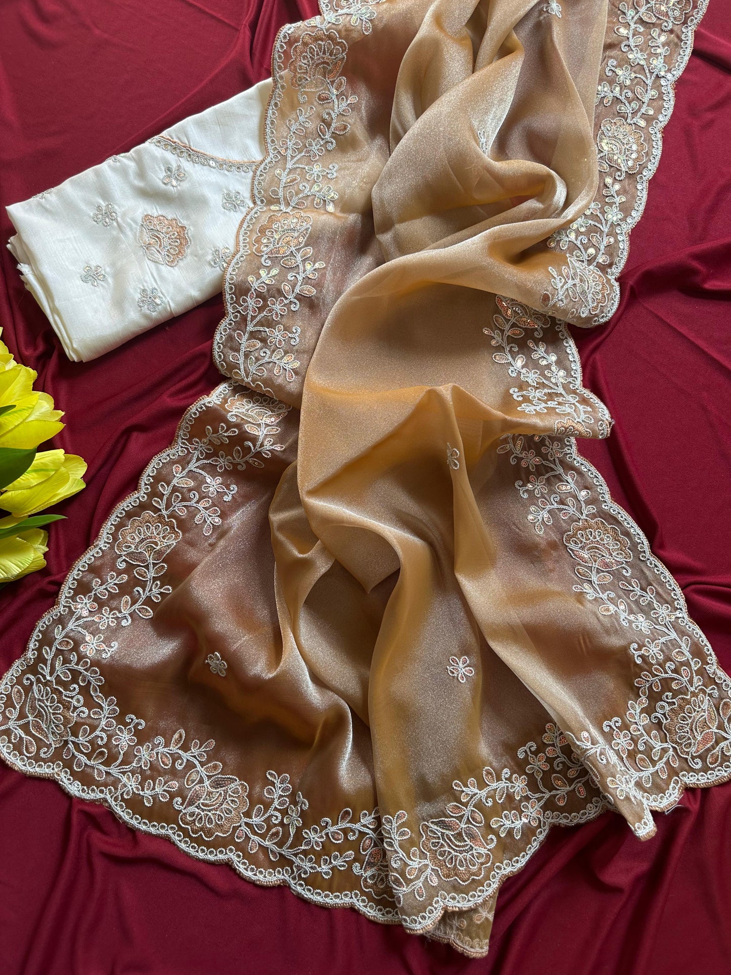 Elegant Shimmer Tissue Saree with Embroidery Sequins Border