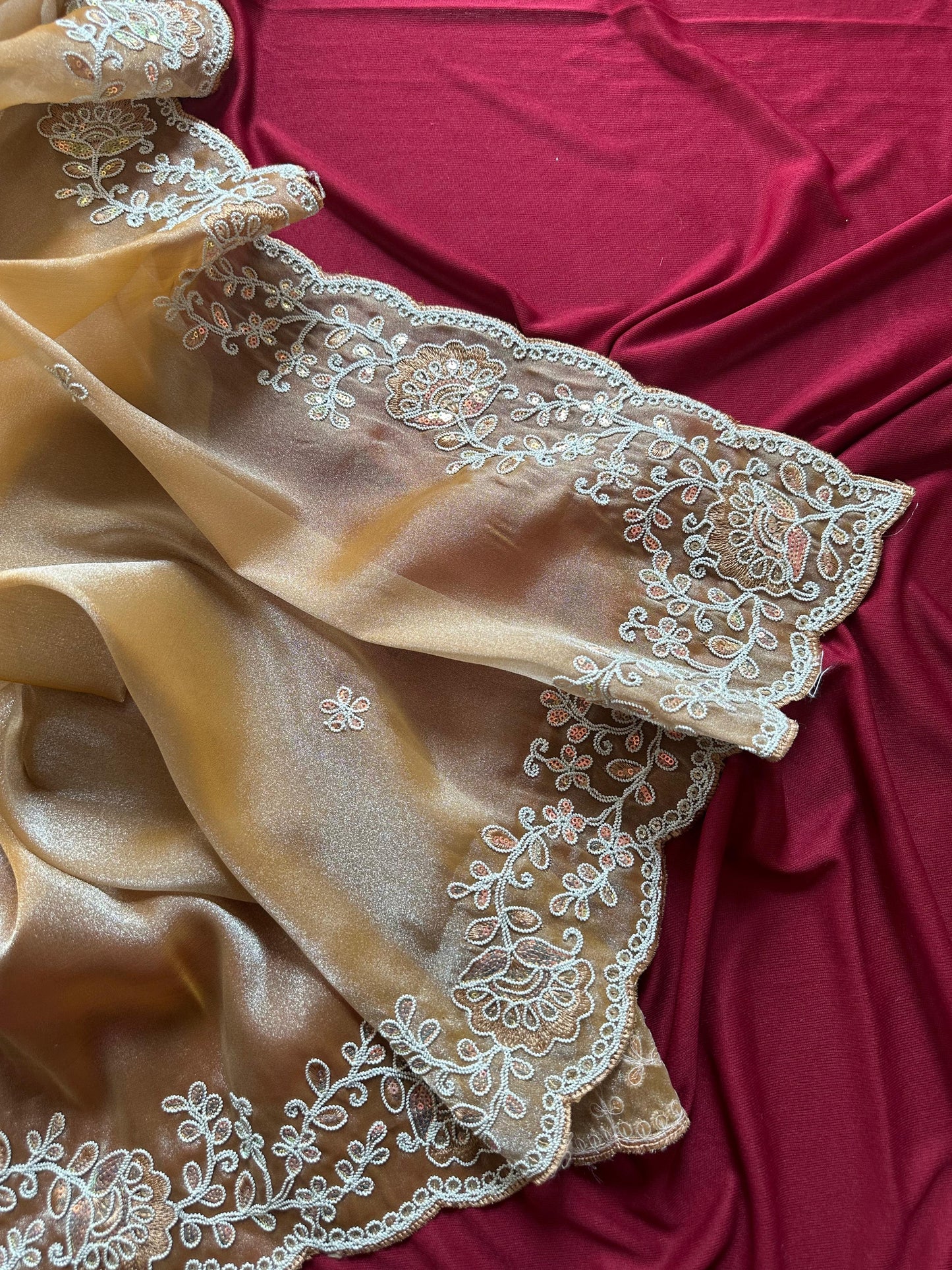 Elegant Shimmer Tissue Saree with Embroidery Sequins Border